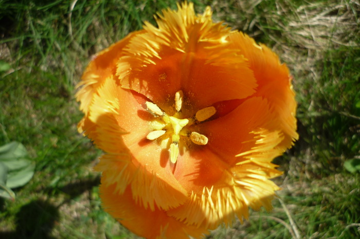 P1040972