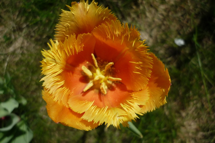 P1040976