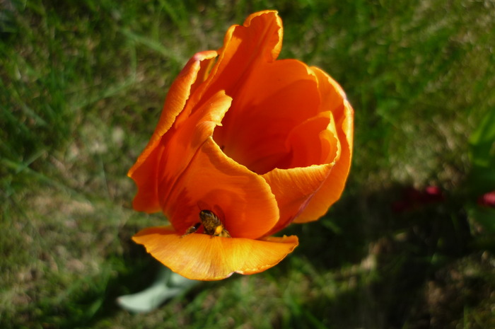 P1040979