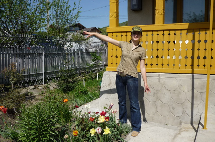 P1050022 - LALELELE preferatele mele