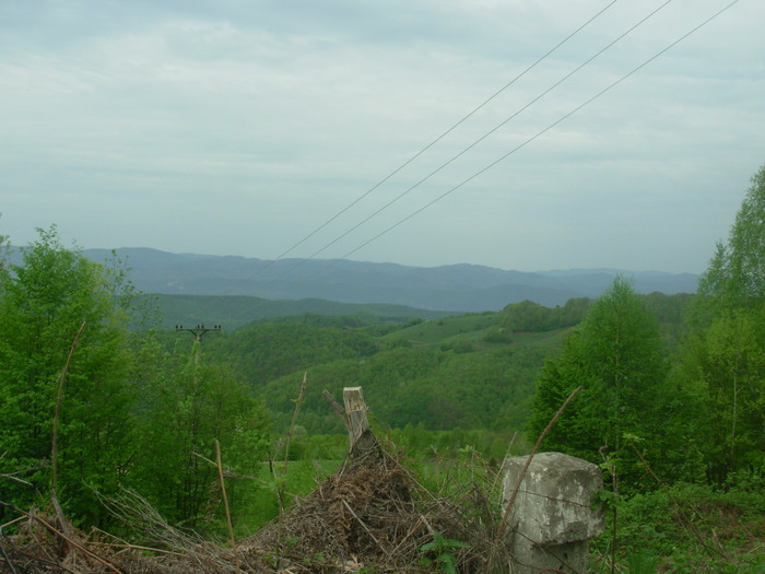 DSCN4155 - VALEA ARIESULUI