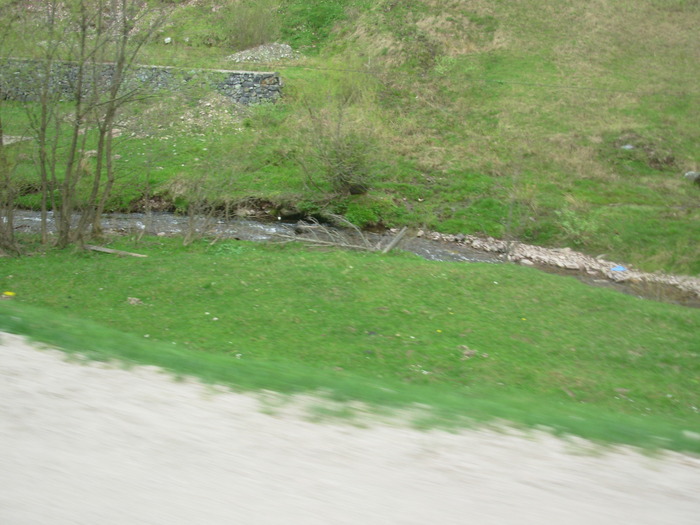 DSCN4182