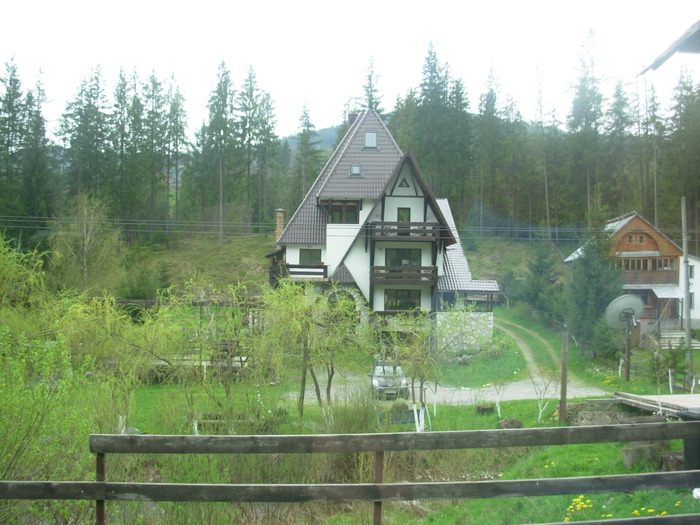DSCN4183