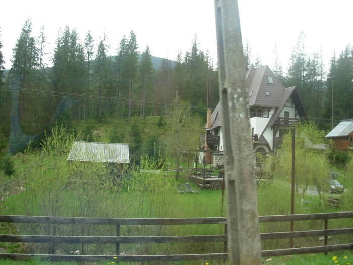 DSCN4184