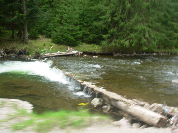 DSCN4193