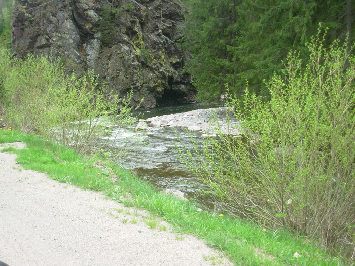 DSCN4194