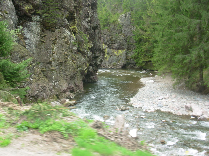 DSCN4195