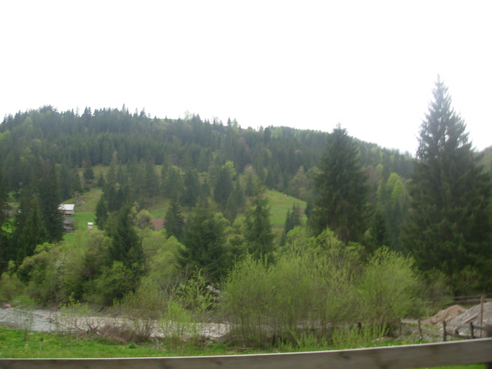 DSCN4196