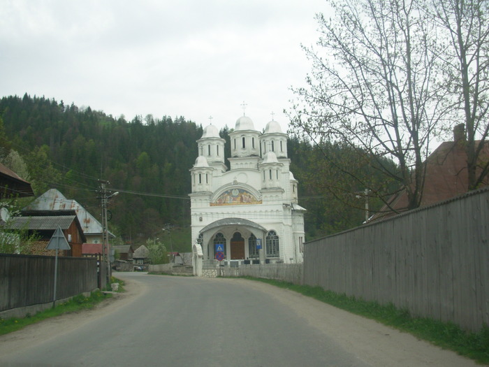 DSCN4197