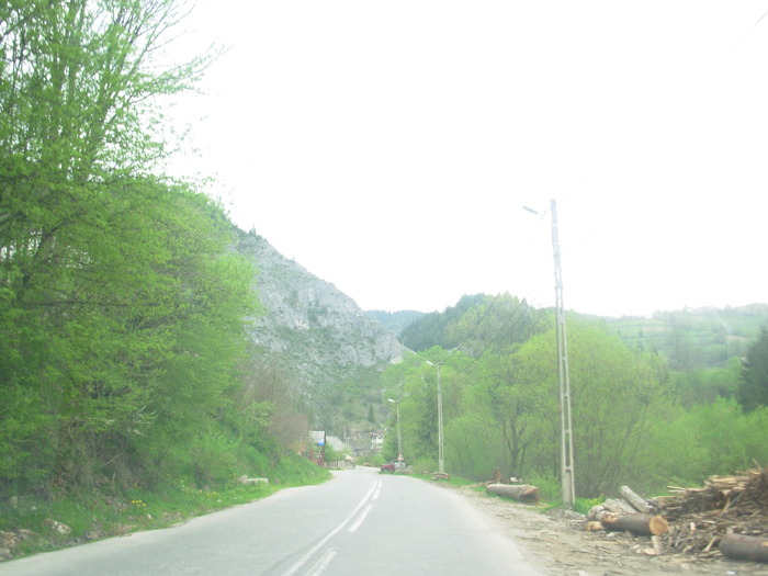 DSCN4202