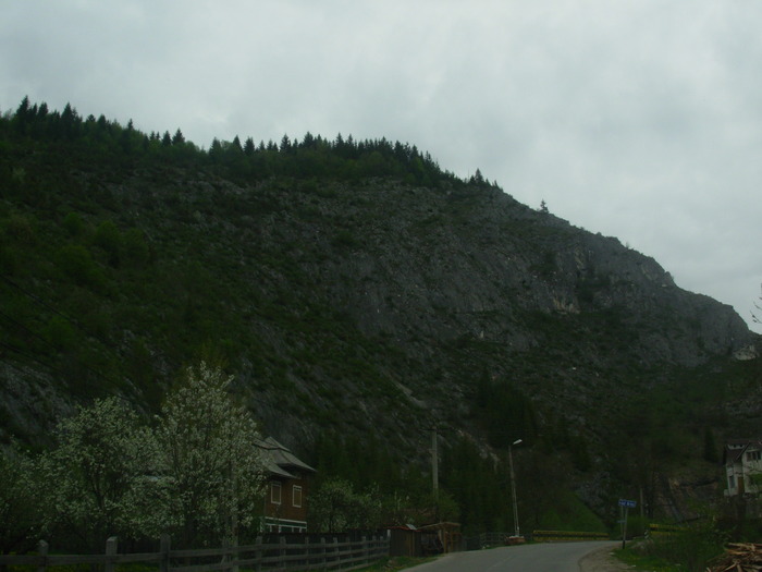 DSCN4203