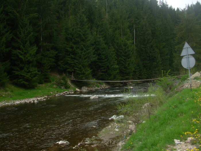 DSCN4210