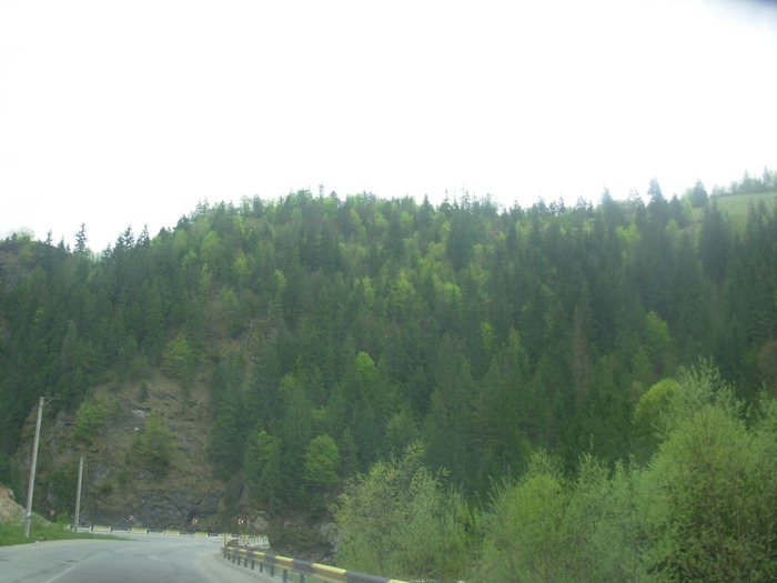 DSCN4216