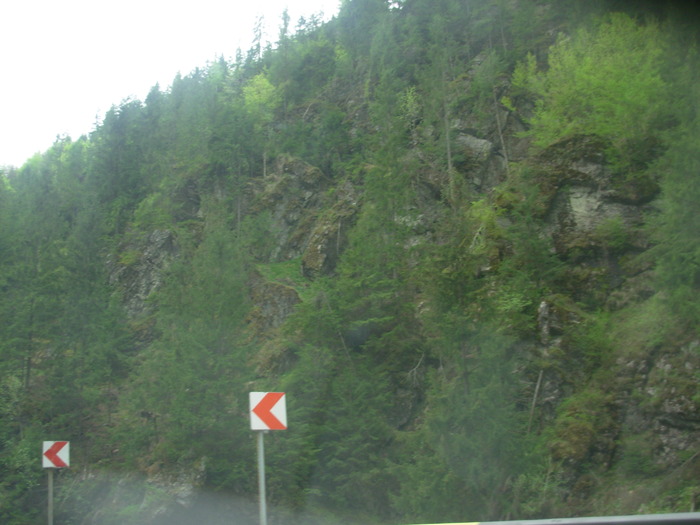 DSCN4218
