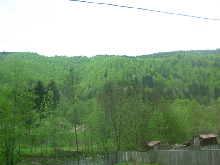 DSCN4221