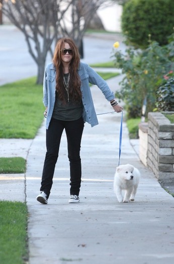 miley-cyrus - Billy Ray Cyrus And Miley Cyrus Out Walking Their Dogs