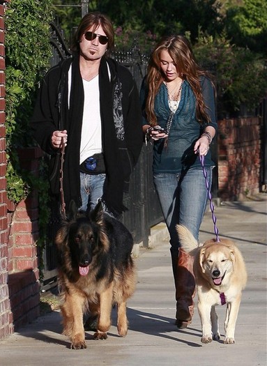 Miley Cyrus Dad Walking Their Dogs BzcMGABCzZOl - Billy Ray Cyrus And Miley Cyrus Out Walking Their Dogs