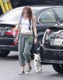 whit dog - Mileyy