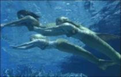 13919944_SBVGRESTM - h20