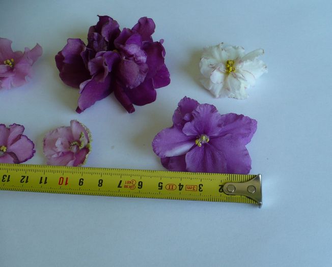 P1260146