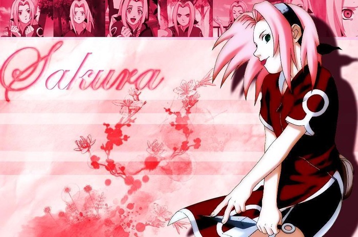 sakura4 - Sakura wallpaper