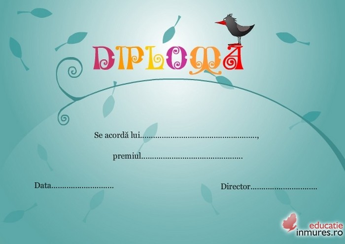 Diploma_2