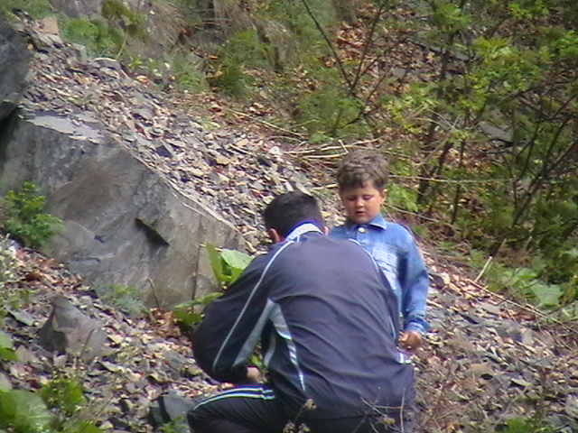 Picture 048