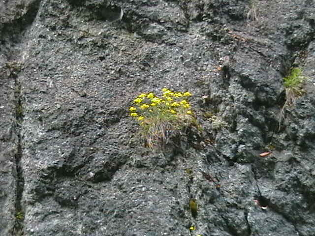 Picture 049
