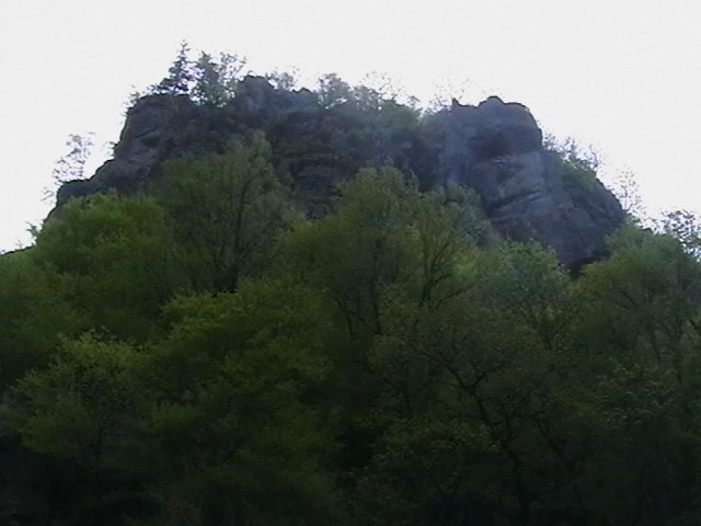 Picture 050