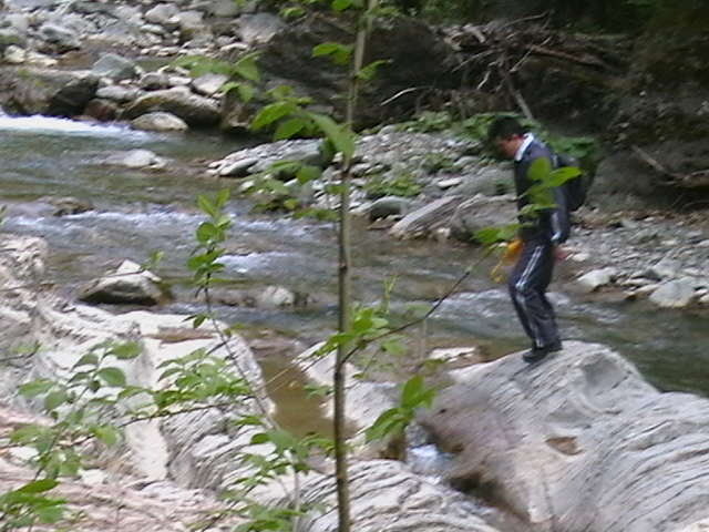 Picture 052
