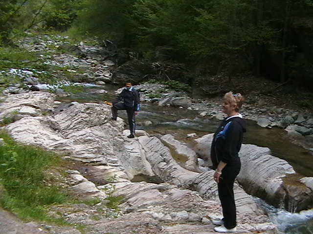 Picture 054