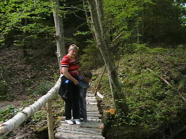 Picture 058