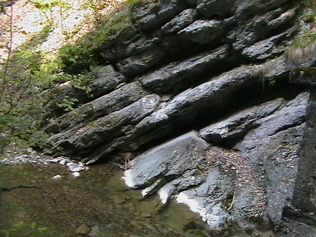 Picture 080