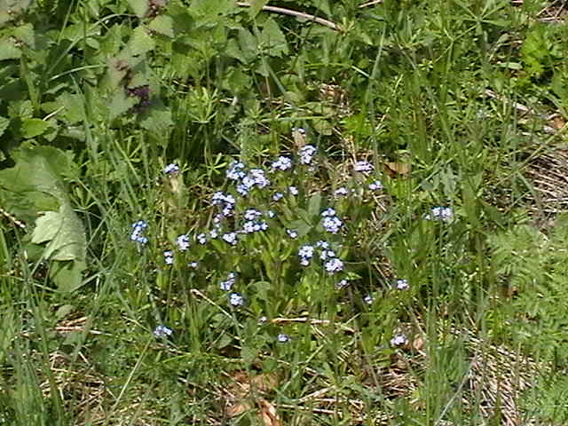 Picture 091