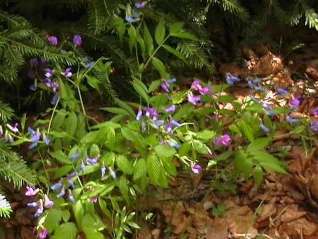 Picture 092