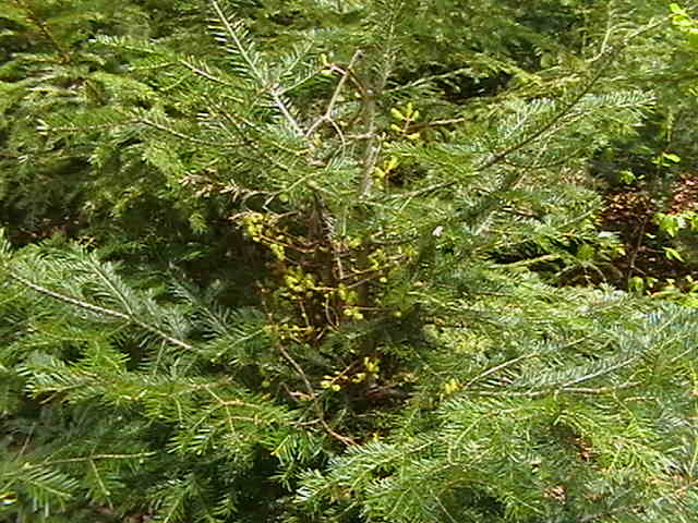 Picture 097