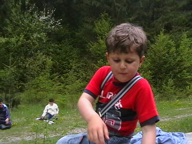 Picture 108