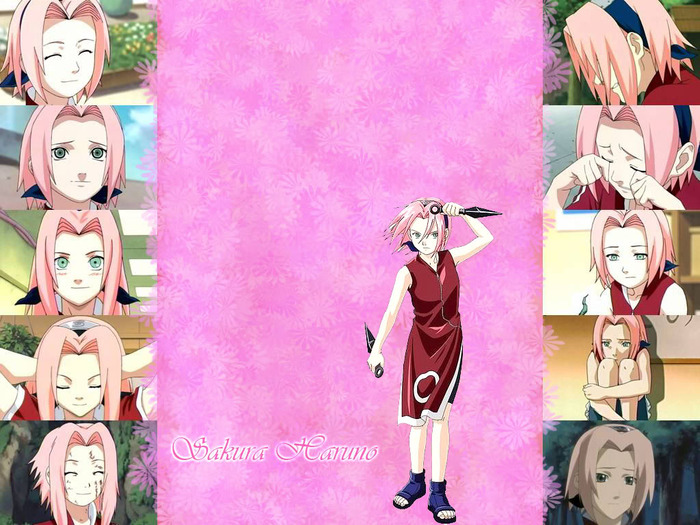 1024-by-768-565687-20080822032351 - Sakura wallpaper