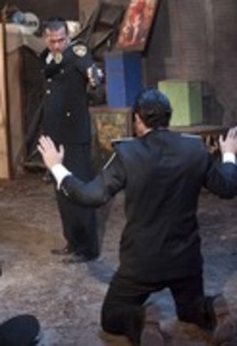 13552291_KEMVJBYIB - Cameleonii