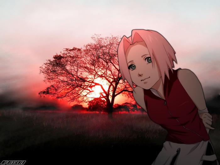 Sakura_Tree_by_crz4all