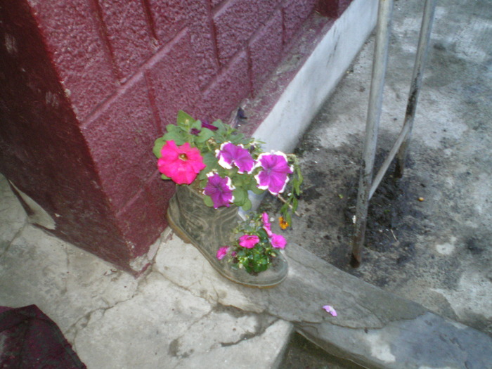 D090510 001