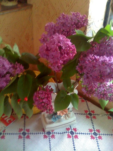 liliac2 - florile mele