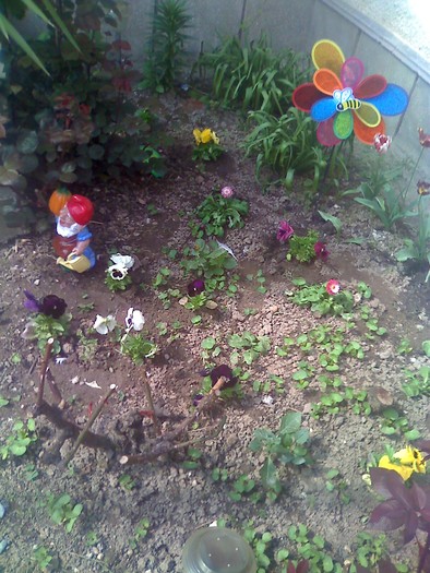 parku meu - florile mele