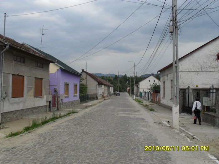 Otelu Rosu