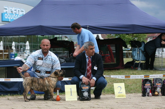 woodoo  4 luni; D A C molos club 08 05 2010 timisoara   BABY BEST IN SHOW
