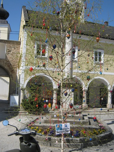 pom de pasti-Sarleinsbach; pe acest pom este si un ou de culoarea rosu-galben si albastru -daca va uitati bine
 pom de pasti-Sarleinsbach; pe acest pom este si un ou de culoarea rosu-galben si albastru -daca va uitati bine