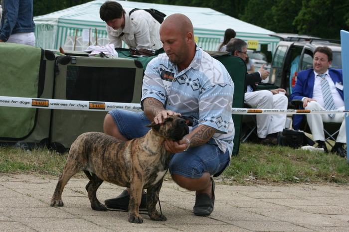 woodoo 4 luni - dogo canario in show