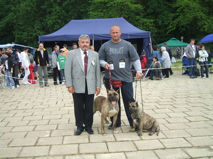 woodoo si vega - dogo canario in show