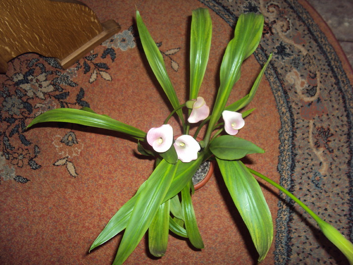 DSC01508