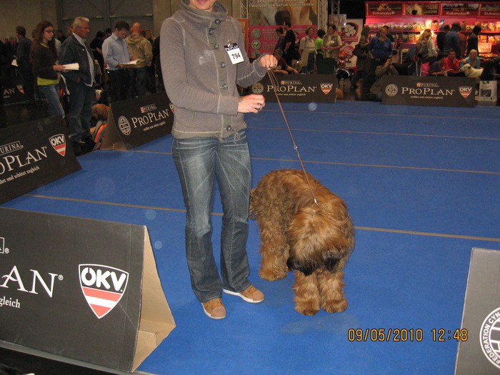 criosmioritic,shepperd,dogs,puppies,mioritic,ciobanesc,kennel 953